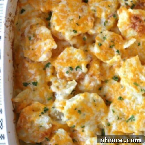 Silken Cream Potato Gratin 7 Homemade scalloped potatoes in a white baking dish, freshly prepared.