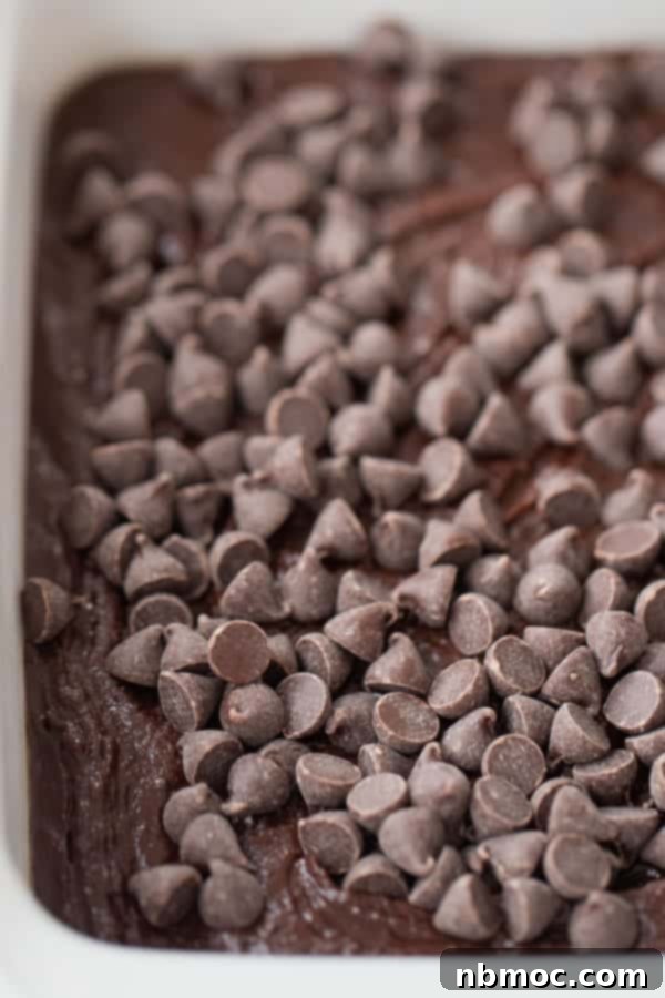 A baking dish with brownie batter topped with chocolate chips.