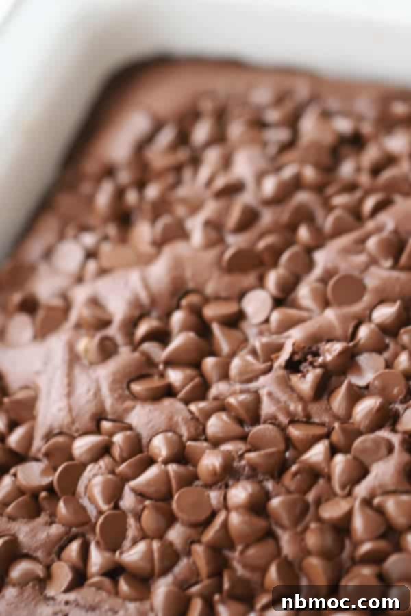 Baked double chocolate brownies. 