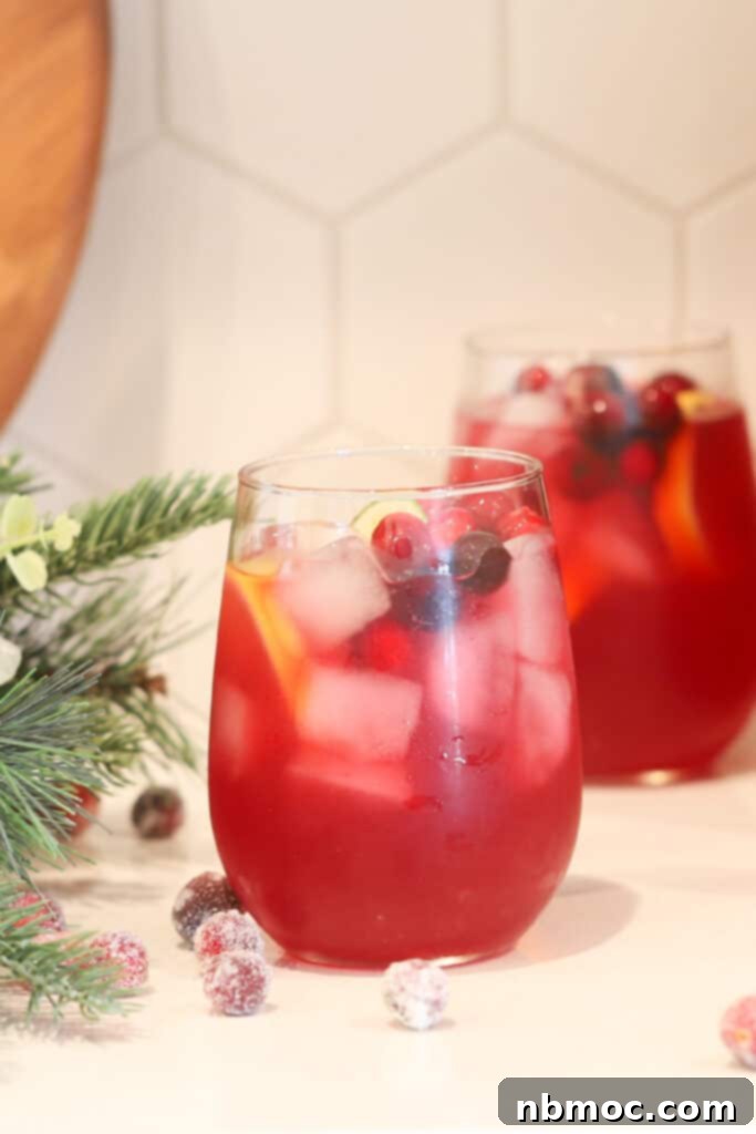 Festive Elixir 3 A glass on a table full of red holiday punch garnished with fresh cranberries.