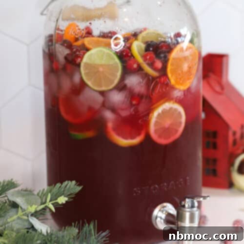 Festive Elixir 5 Holiday Punch