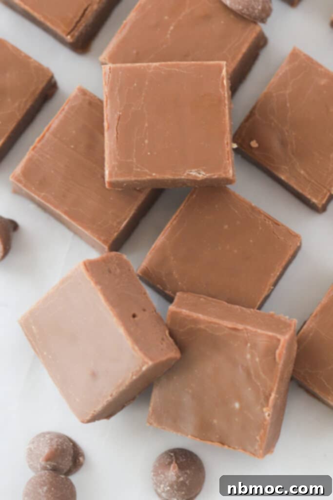 Squares of homemade chocolate fudge neatly cut and arranged on a serving tray, showcasing its smooth, rich texture.