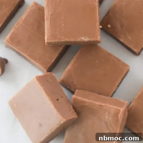 Easy Homemade Chocolate Fudge Recipe