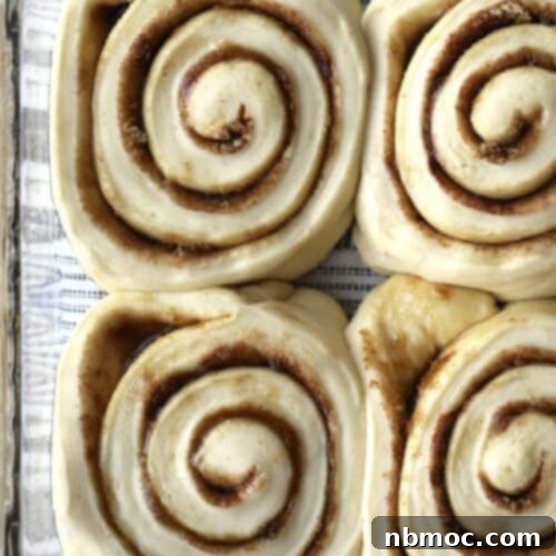 Cinnamon rolls rising in a baking dish, showcasing the light and airy texture of the dough before baking.