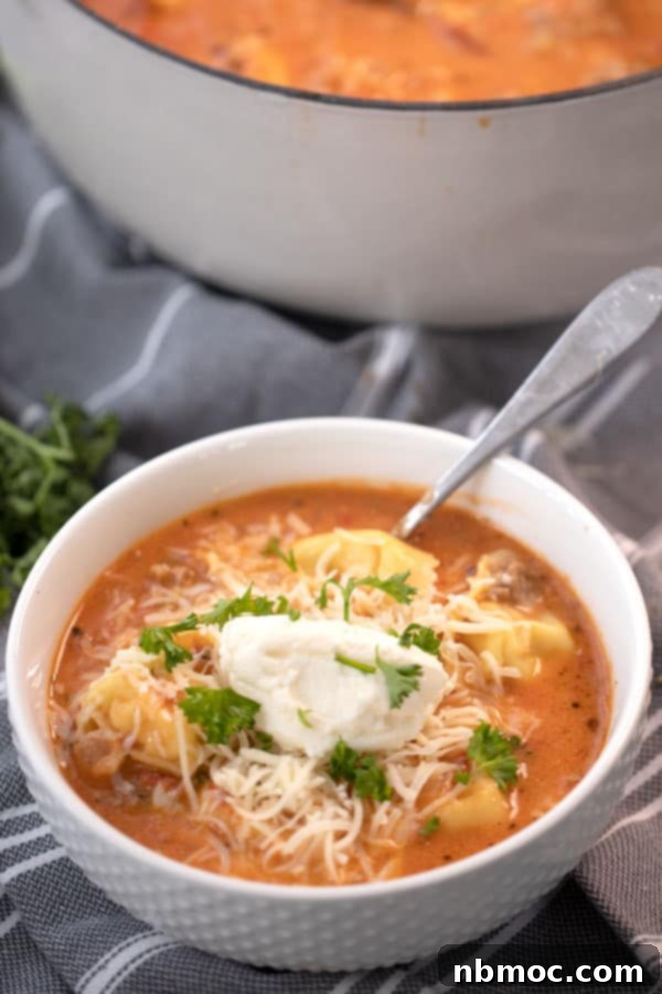 A bowl full of creamy, easy lasagna soup topped with fresh ricotta cheese, grated Parmesan, and vibrant parsley.