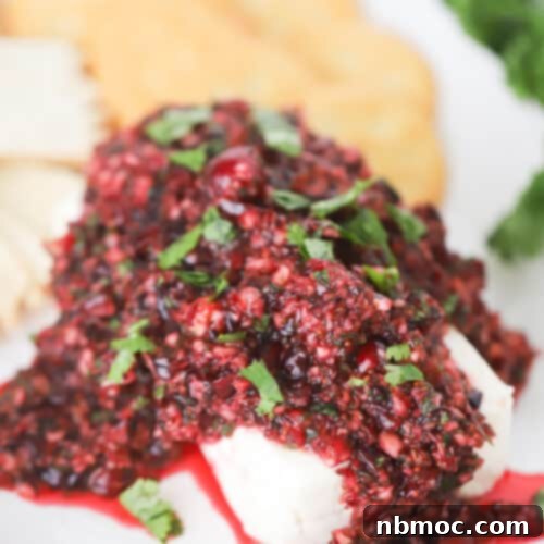 cranberry salsa