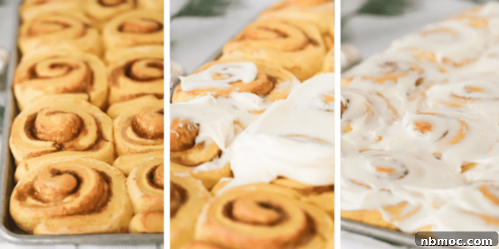 Two rows of uncooked pumpkin cinnamon rolls rising in a baking dish, ready for the oven.