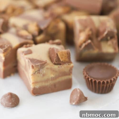 reese's chocolate swirl fudge