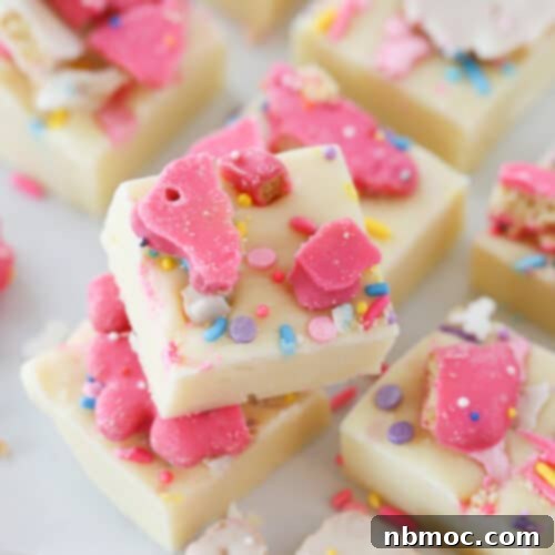 Whimsical Animal Cookie Fudge 5 Animal Cookie Fudge stacked on top of each other