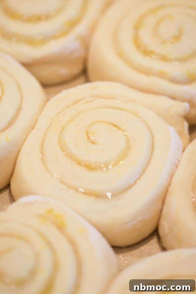 A close-up photograph of lemon sweet rolls perfectly risen in a baking pan, ready to be baked.