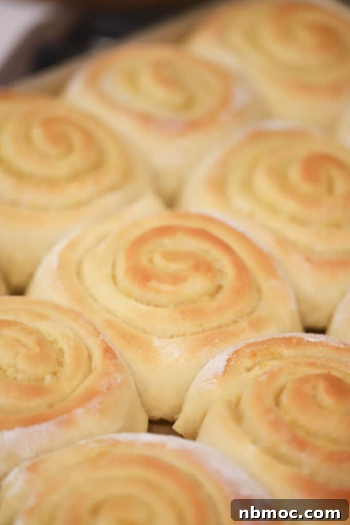 A baking pan of golden-brown lemon sweet rolls, fresh out of the oven and unfrosted.