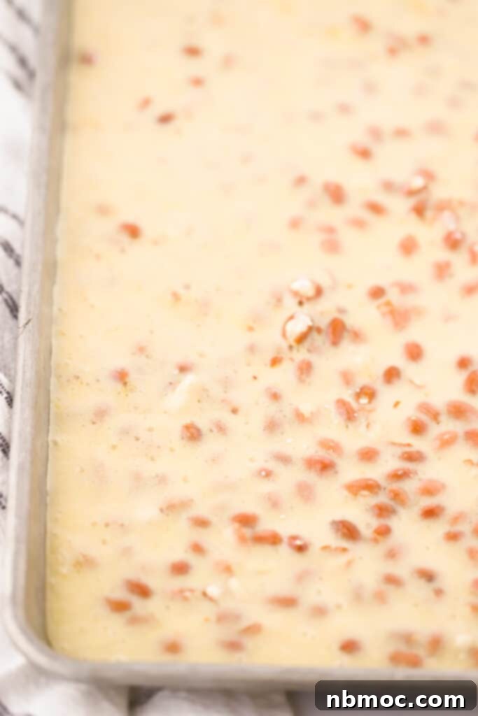 A baking sheet with a layer of peanut brittle cooling. Old fashioned peanut brittle recipe, homemade peanut brittle.