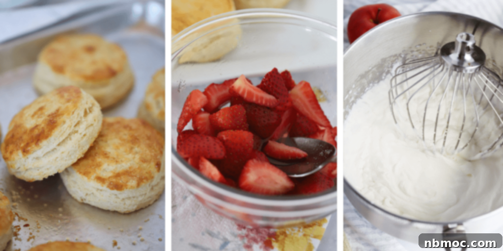 Three essential components for strawberry shortcake: golden biscuits on a baking sheet, a bowl of glistening macerated strawberries, and a bowl of creamy whipped cream.