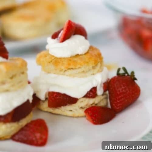 strawberry shortcake biscuit recipe with strawberries and whipped cream recipe