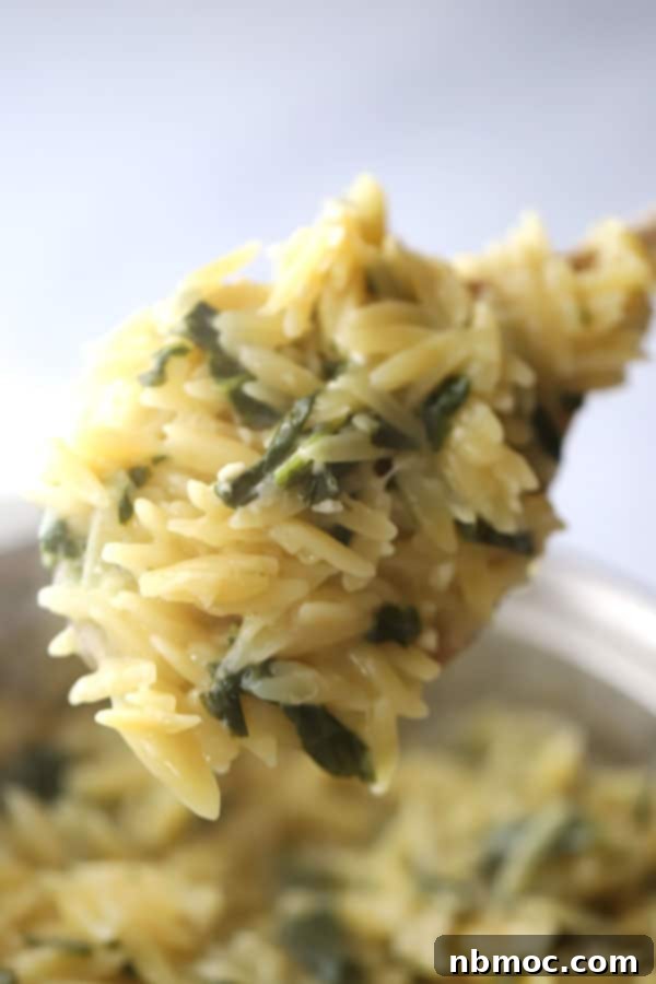 Creamy Garlic Parmesan Orzo 2 garlic parmesan orzo on a spoon, an easy orzo side dish recipes. Orzo garlic parmesan.