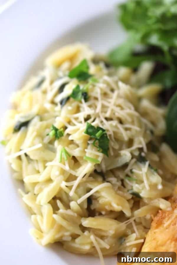 Creamy Garlic Parmesan Orzo 3 Orzo parmesan recipe, creamy parmesan orzo.