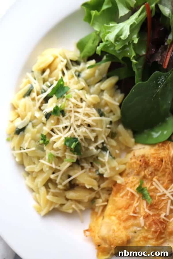 Creamy Garlic Parmesan Orzo 4 parmesan Orzo on a plate with salad and chicken, creamy parmesan orzo recipe, orzo with spinach recipe.