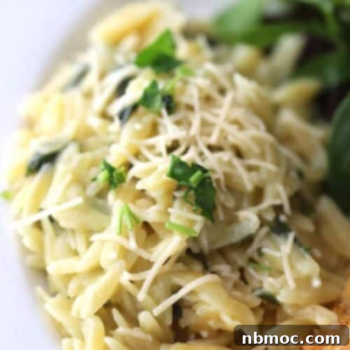 Creamy Garlic Parmesan Orzo 5 garlic parmesean orzo