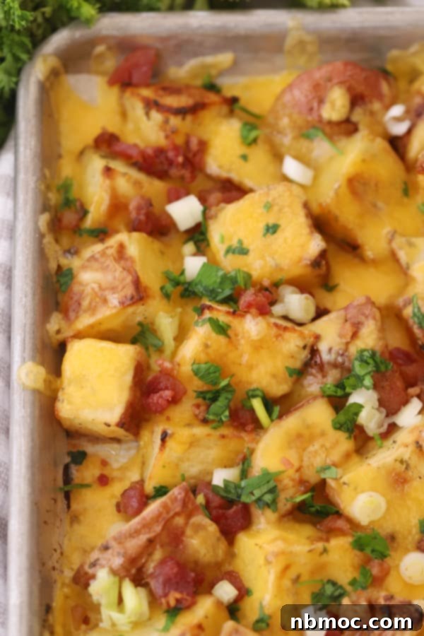 A baking sheet filled with cheesy ranch potatoes, loaded with bacon, a delicious roasted potato recipe for brunch.