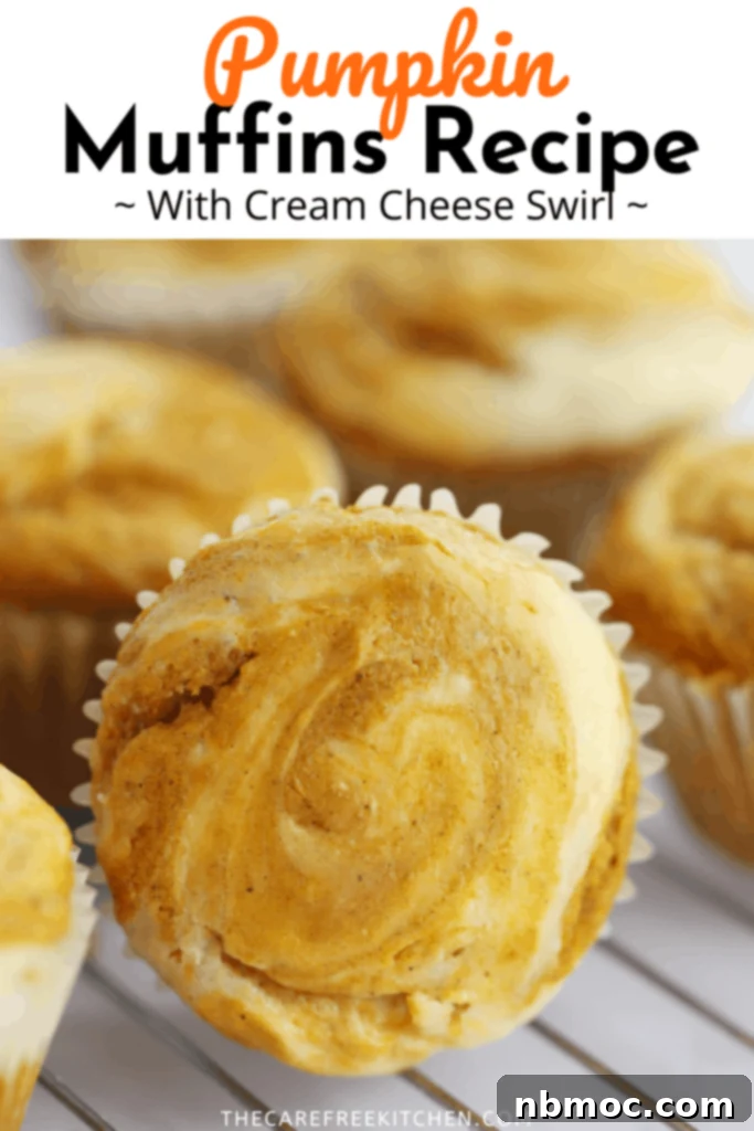 Pumpkin muffins with a beautiful cream cheese swirl, offering a delicious seasonal treat.