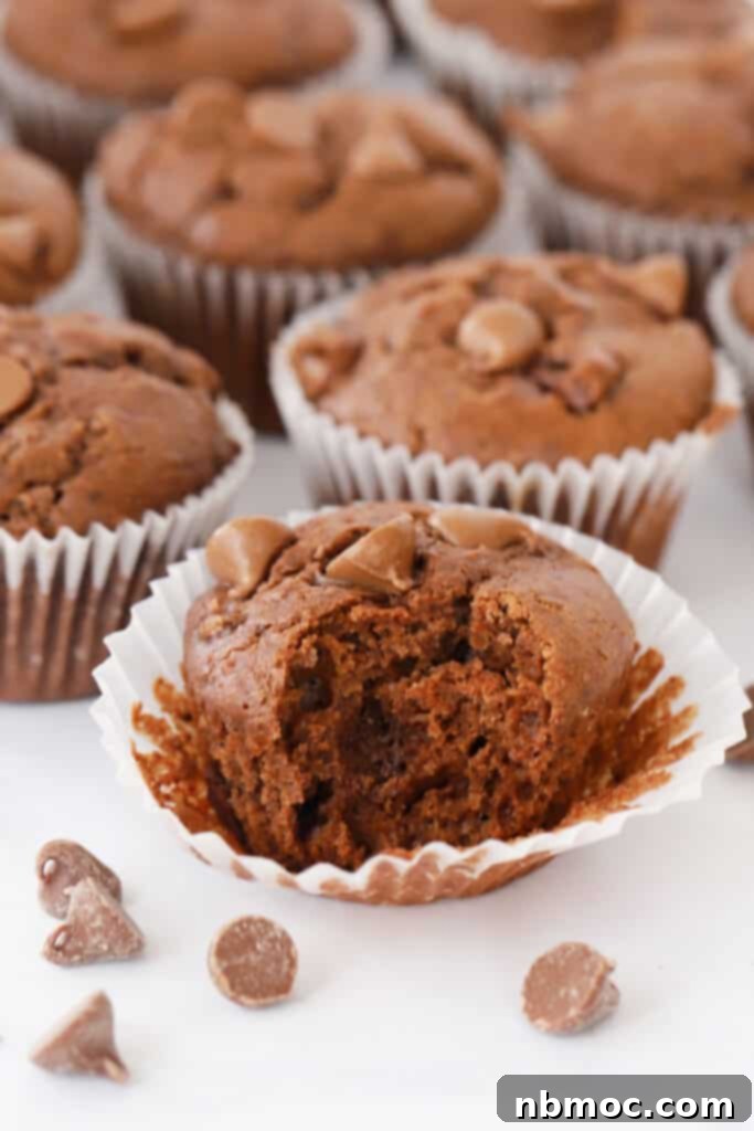Decadent chocolate chip chocolate muffins, a perfect sweet treat for any time of day.