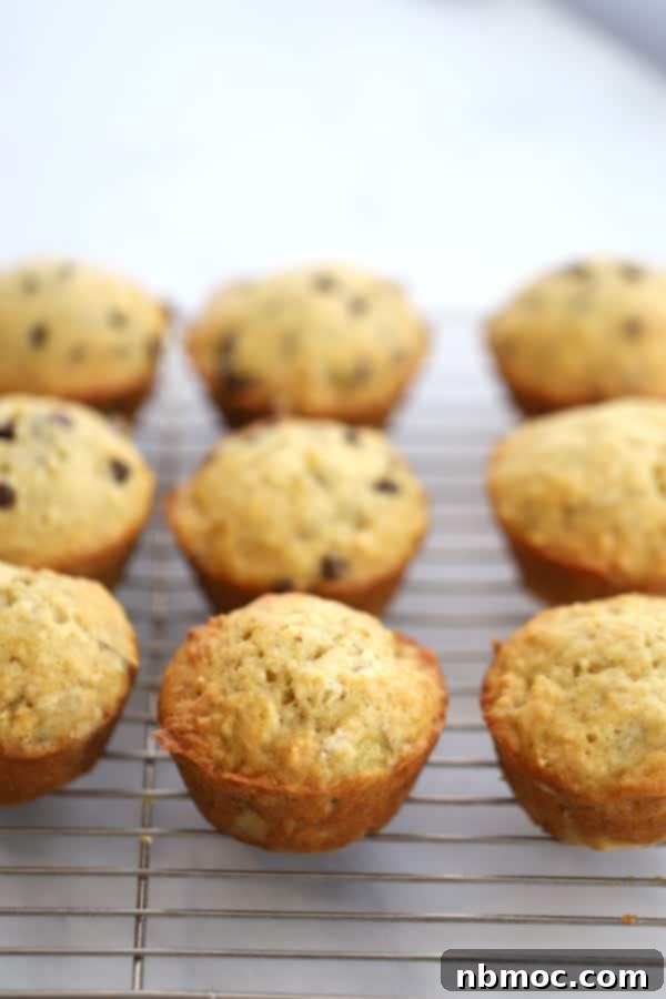 Easy Banana Muffins, golden and delicious, perfect for a quick breakfast or snack.
