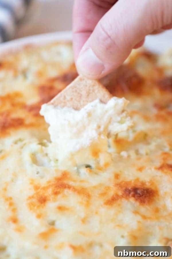Creamy artichoke jalapeno dip with a cracker dipped in, a warm and cheesy appetizer.