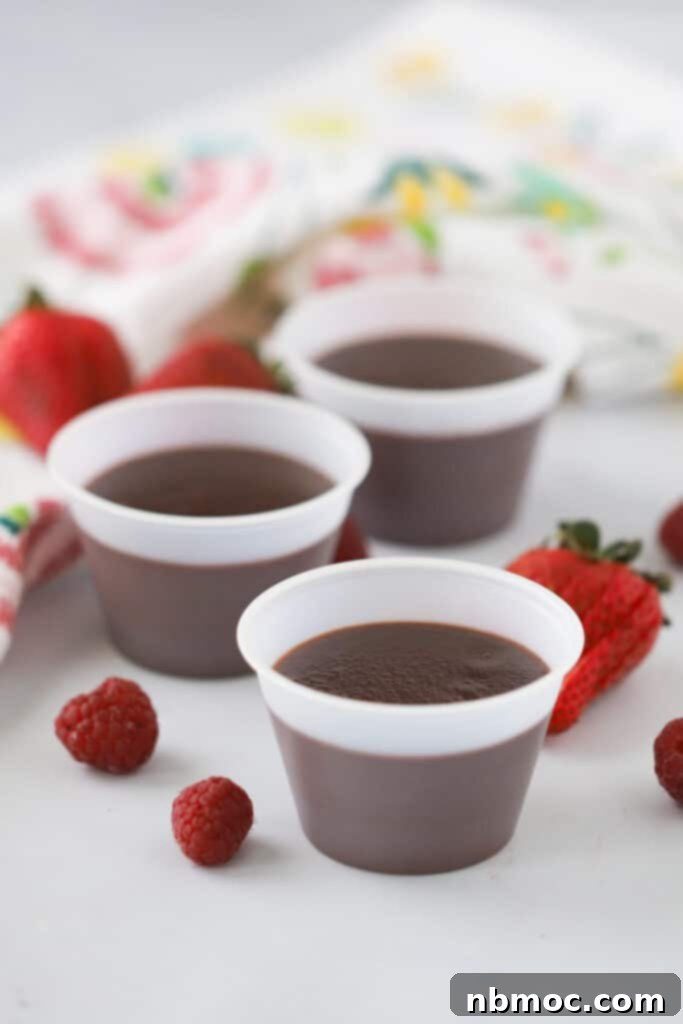 Three ramekins filled with homemade chocolate pudding, artfully arranged on a rustic wooden table, inviting a delicious tasting.