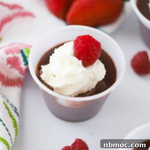 chocolate pudding recipes in small cups, topped with whipped cream