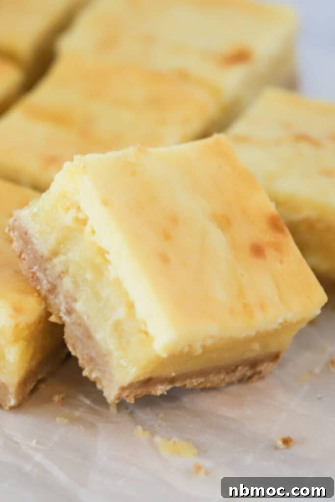 Rows of lemon squares with a shortbread crust.