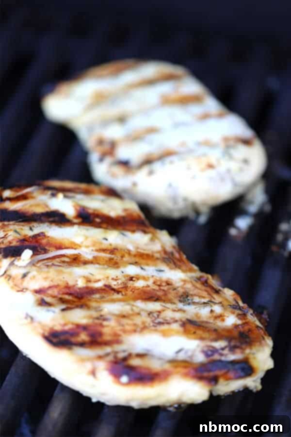 Grilled honey mustard chicken ready to be served, showing nice grill marks.