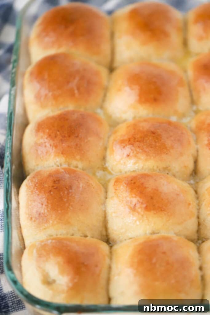 Wholesome Wheat Rolls 2 A baking dish full of freshly baked Whole Wheat Dinner Rolls, golden brown and tempting.