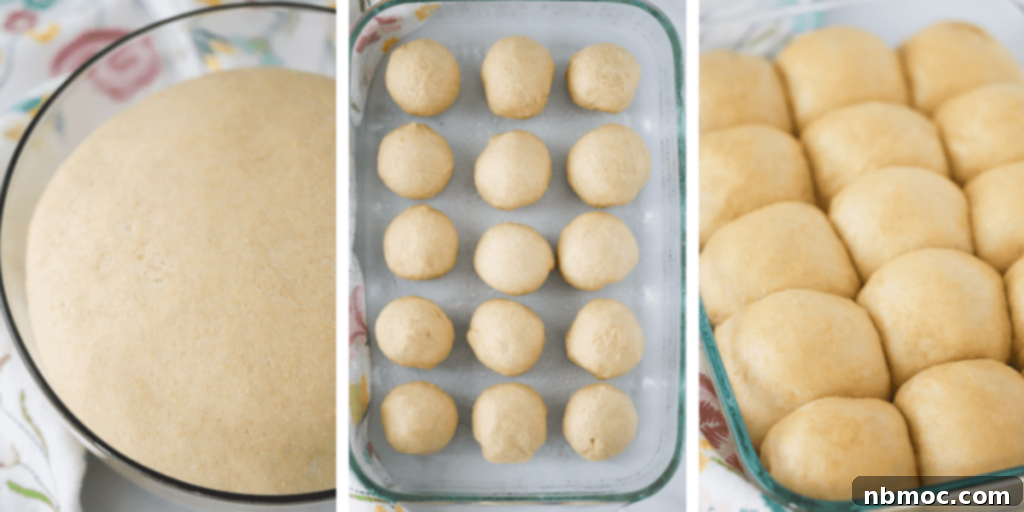 Wholesome Wheat Rolls 3 Whole wheat bread dough rising in a bowl, then shaped into balls, and finally risen in the baking dish and ready to bake.