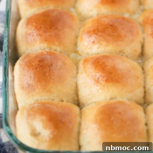 Wholesome Wheat Rolls 5 whole wheat dinner rolls recipe