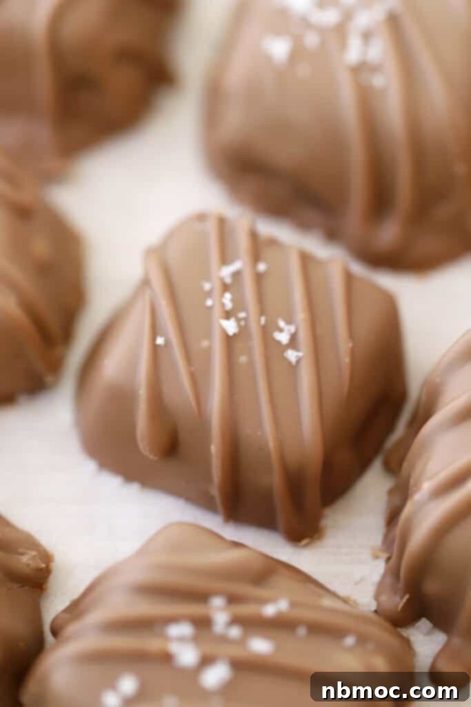Chocolate covered caramel candies topped with flakey sea salt.