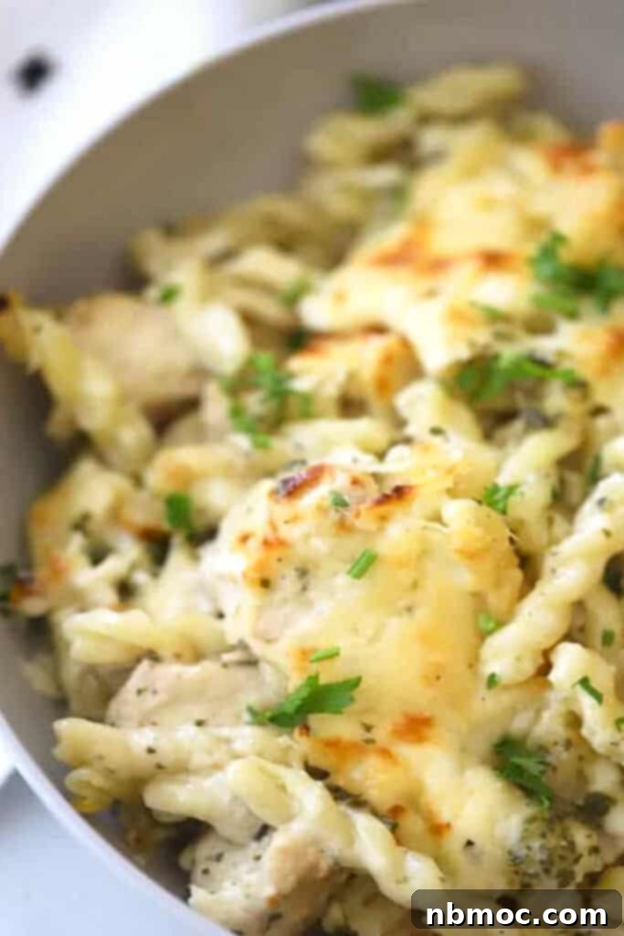 A bowl filled with a portion of baked chicken pesto pasta.