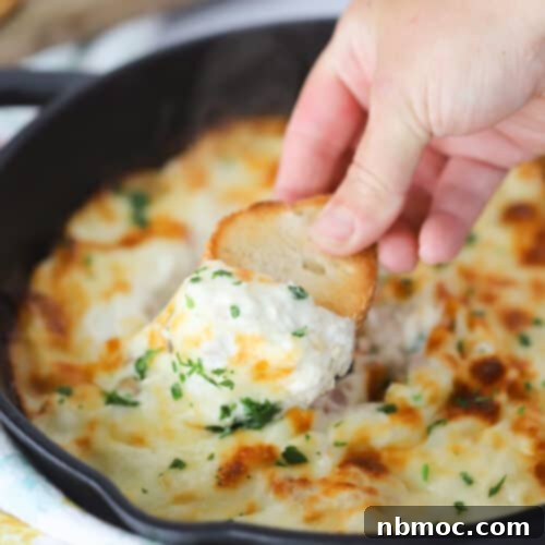 cheesy chicken alfredo dip recipe