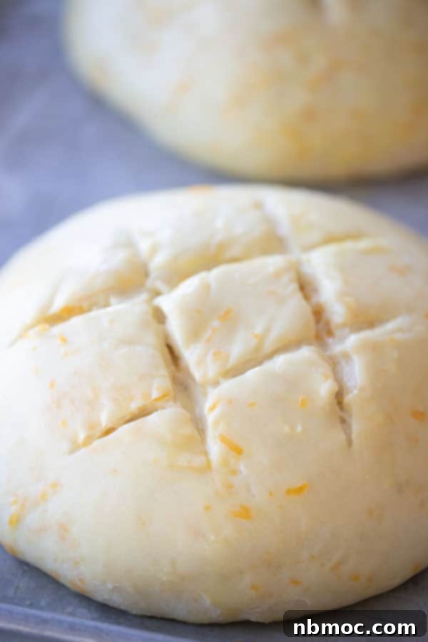 cheddar bread bread dough with score marks.