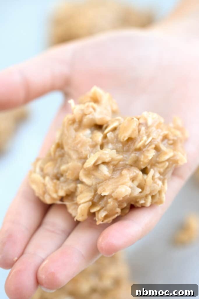 A hand holding no bake coconut cookies.