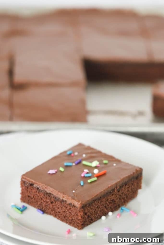 A single slice of moist Texas Chocolate Sheet Cake on a white plate, adorned with colorful rainbow sprinkles, highlighting the rich frosting and soft cake. A delightful individual serving.