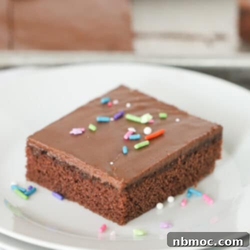 Texas Chocolate Sheet Cake, best chocolate sheet cake