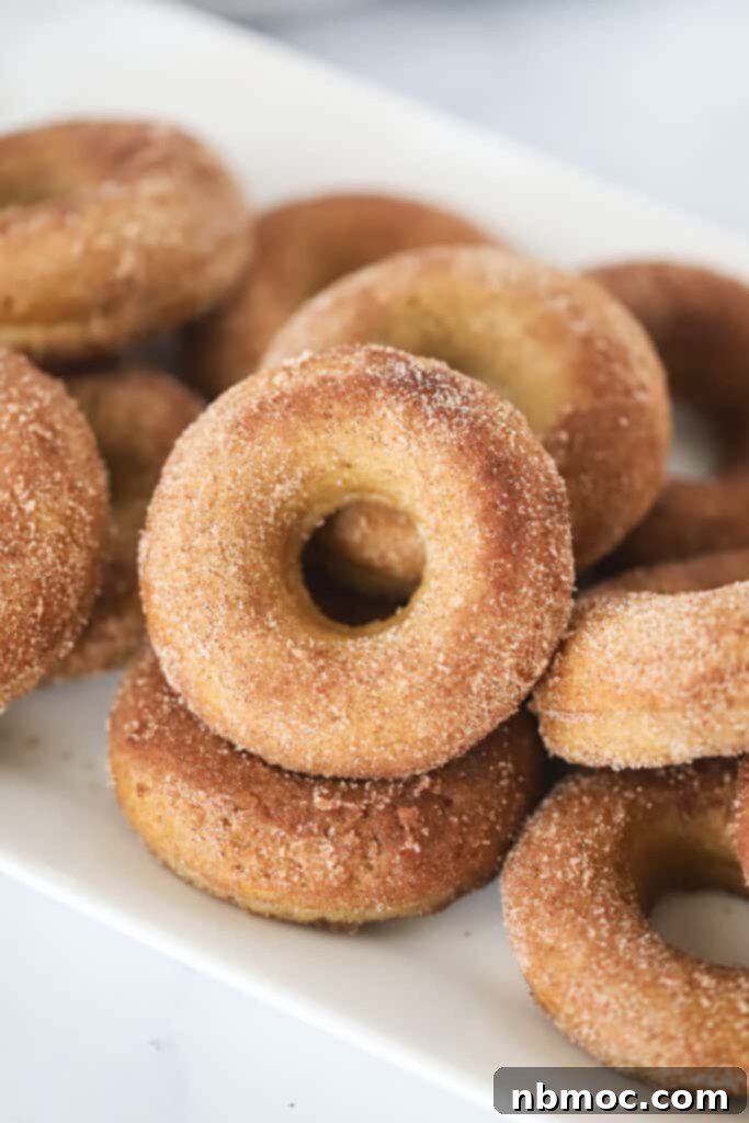 Fall Spiced Baked Apple Cider Donuts 2 Baked apple cider donuts stacked on a large serving platter.