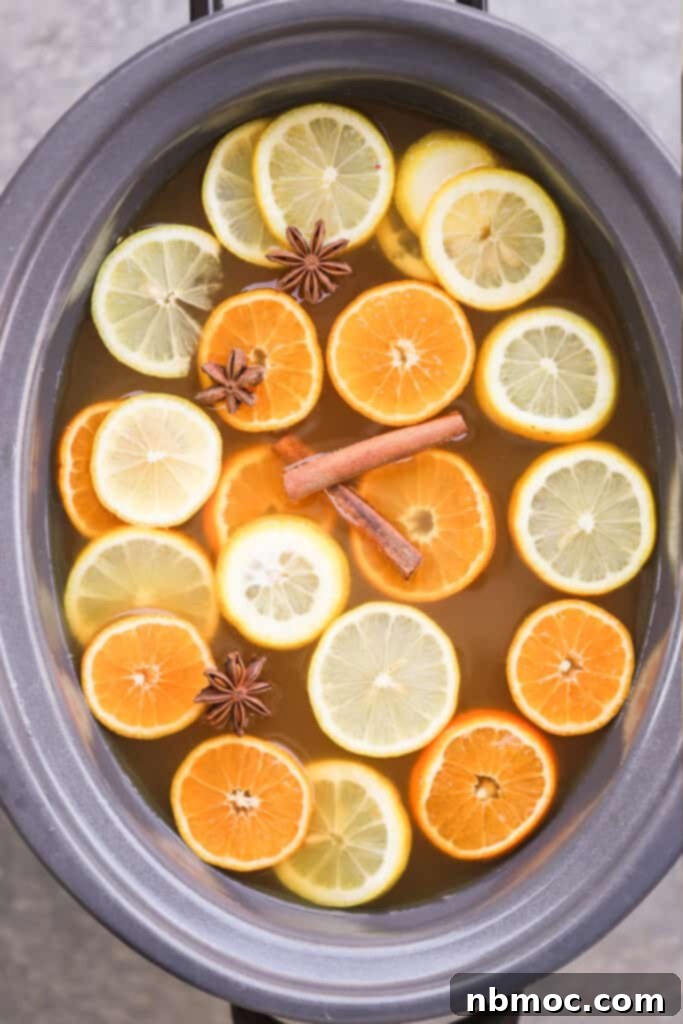 Winter's Spiced Brew 2 A slow cooker with this traditional Wassail recipe ingredients including cinnamon sticks, star anise, and sliced citrus.