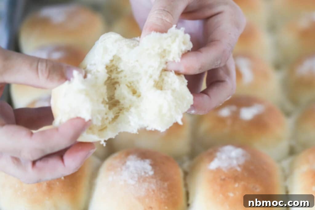 how to make potato rolls, easy roll recipe, soft and fluffy rolls