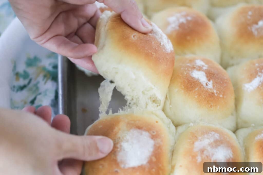 Hands pulling apart a Potato Roll from a baking sheet. This old fashioned yeast rolls recipe is easy to make at home.