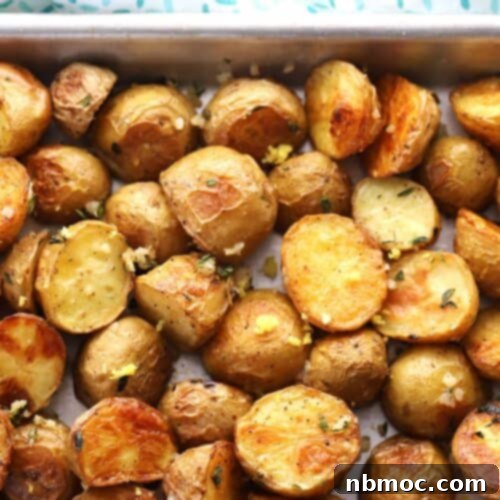 Delicious Herb Roasted Potatoes, ready to be served, a perfect side dish for any meal.