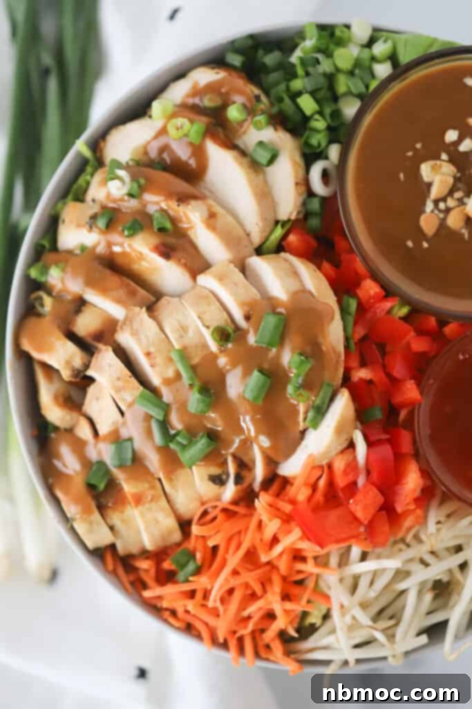 A large bowl full of dipping sauces, shredded carrots, bean sprouts, sliced green onions, and perfectly sliced Thai chicken covered in a rich peanut sauce.