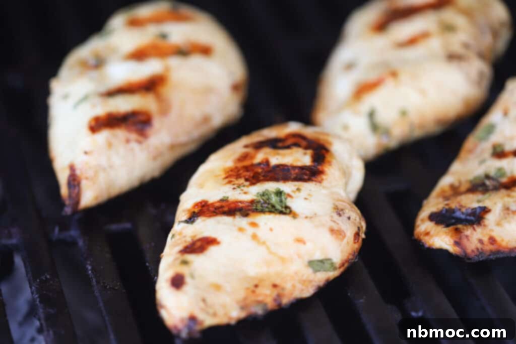 Perfectly grilled chicken breasts displaying appetizing grill marks, cooking on a hot outdoor grill. This image highlights the 'chicken marinade Thai' and 'sesame ginger marinade' appeal, showcasing tender and flavorful results.
