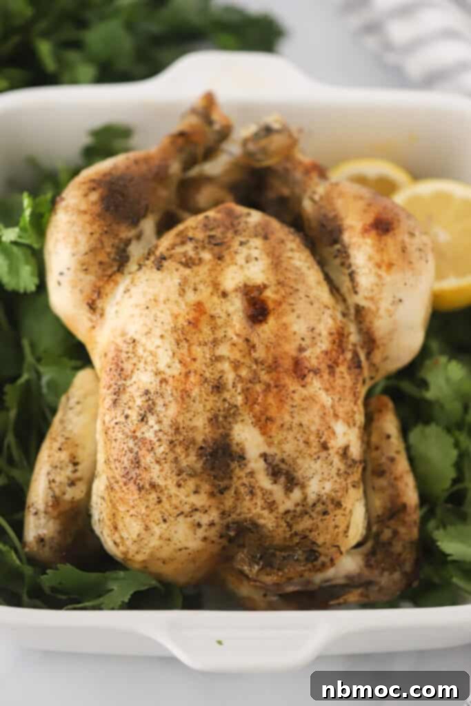 Zesty Lemon Pepper Rotisserie Chicken 2 Lemon Pepper Rotisserie Chicken in a ceramic baking dish surrounded by fresh parsley and fresh lemons. An easy rotisserie chicken recipe.