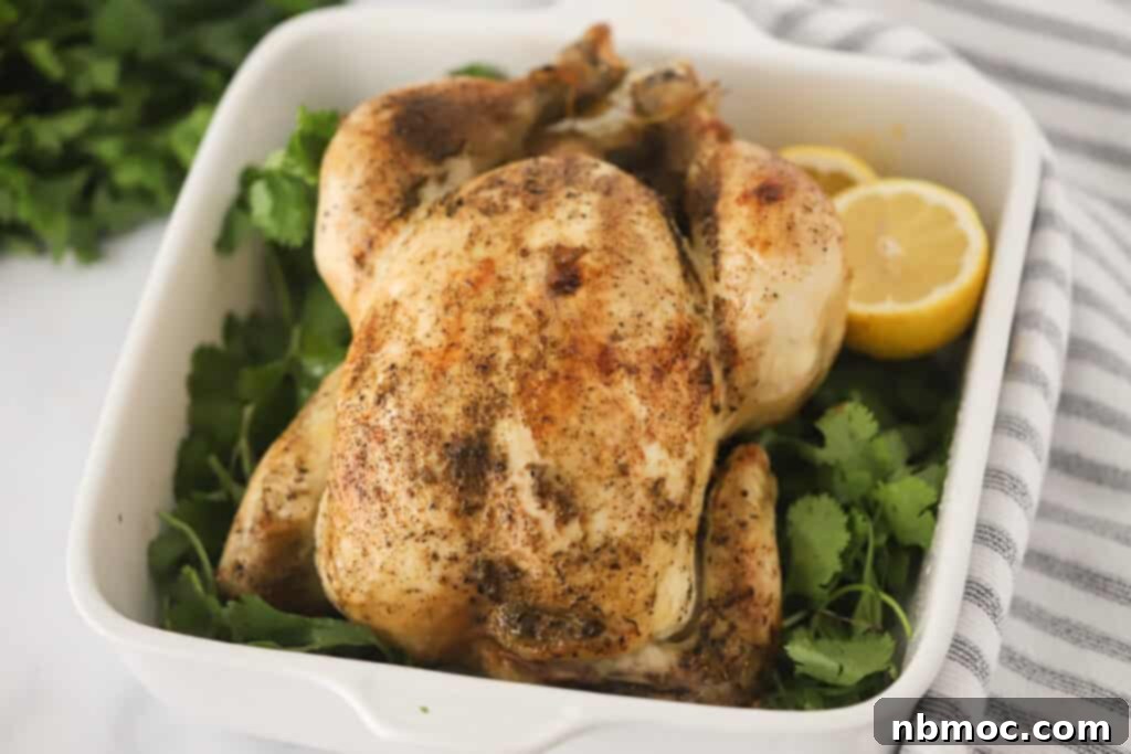 Zesty Lemon Pepper Rotisserie Chicken 5 A baking dish with a whole roasted chicken surrounded by fresh parsley and lemons. rotisserie chicken temperature and time.